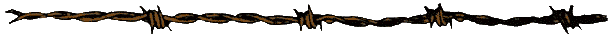 wire2.gif - 2868 Bytes